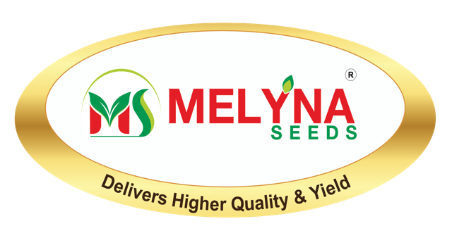 Melyna Seeds logo